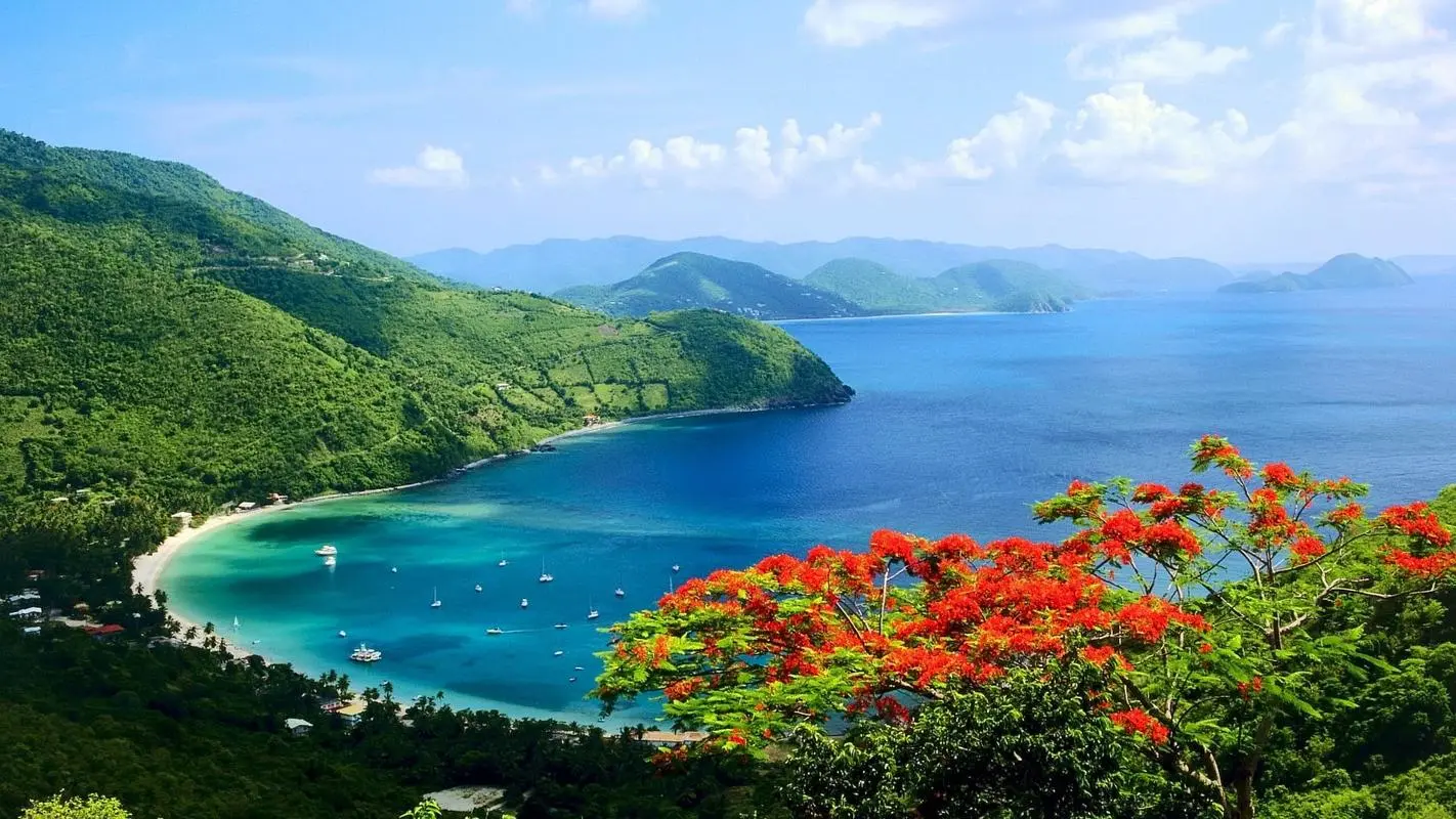 高标准科技